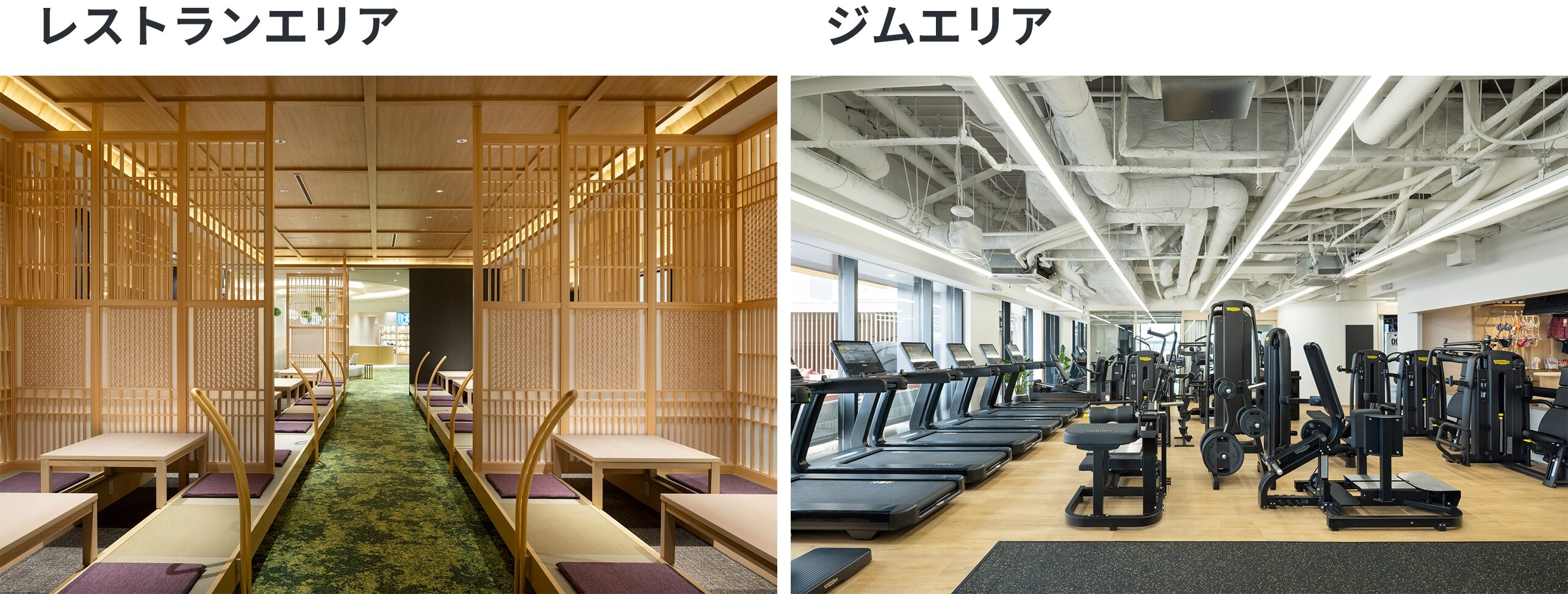 レストランエリア,ジムエリア