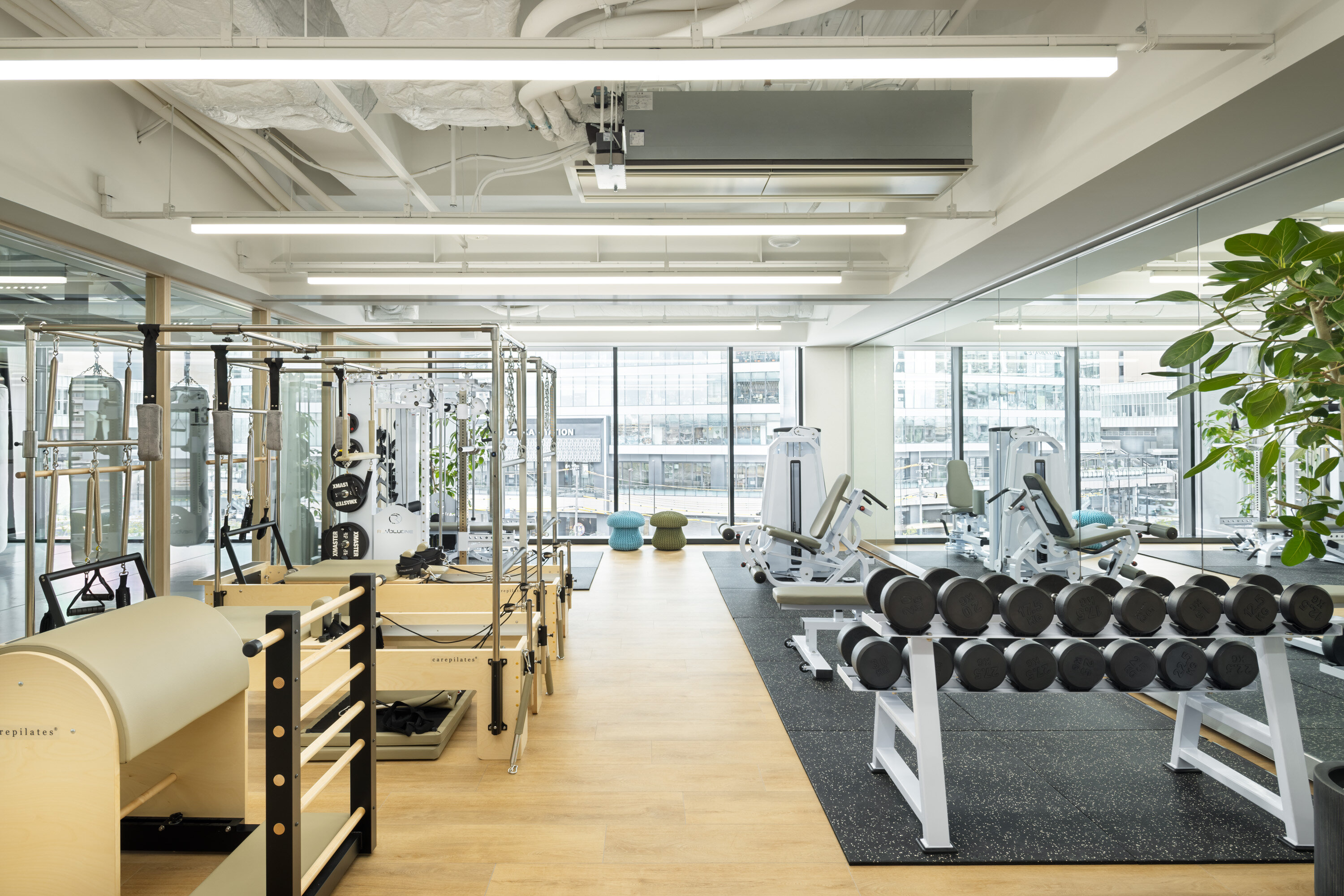 パーソナルレッスンが受けられるジムエリア