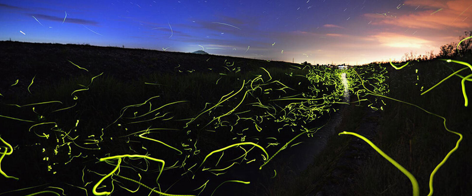 閉店の定番BGMは「蛍の光」ではなく「別れのワルツ」という曲だった