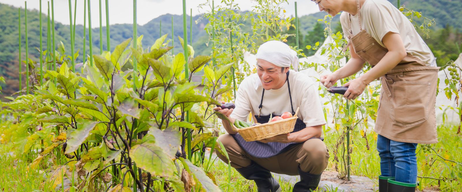 農業で監視カメラ導入が増えている背景