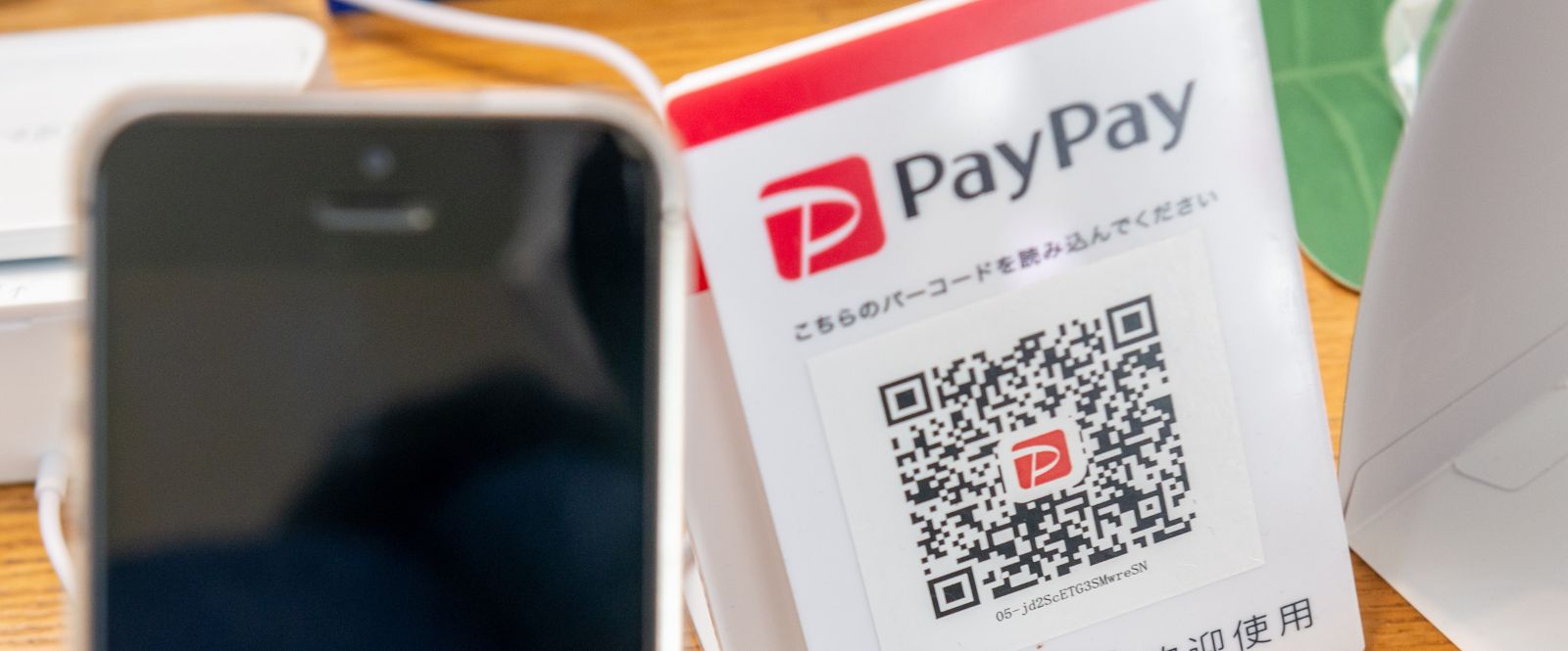 PayPay月額料金以外の費用