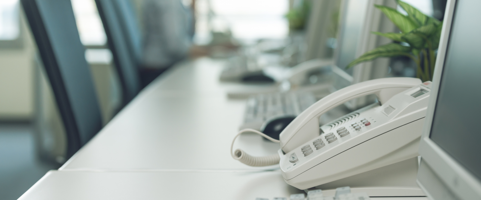 ビジネスに必須！固定電話向け番号取得ガイド